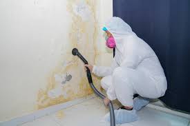 Best Emergency Mold Remediation  in Mountain Lake Park, MD